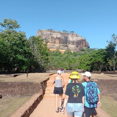 Kon Tree Shade Apartment Dambulla Bagian luar foto