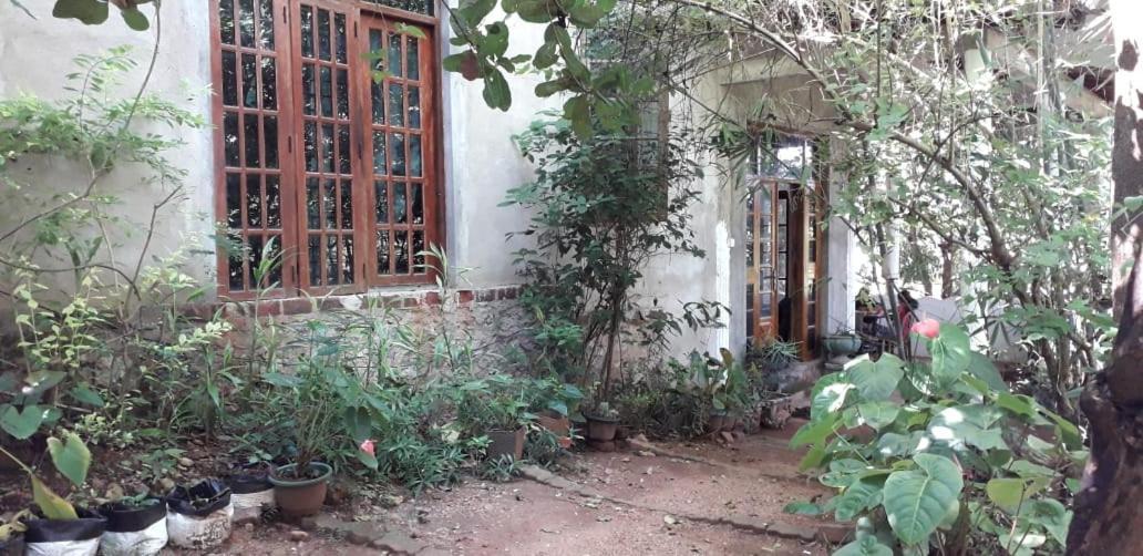 Kon Tree Shade Apartment Dambulla Bagian luar foto