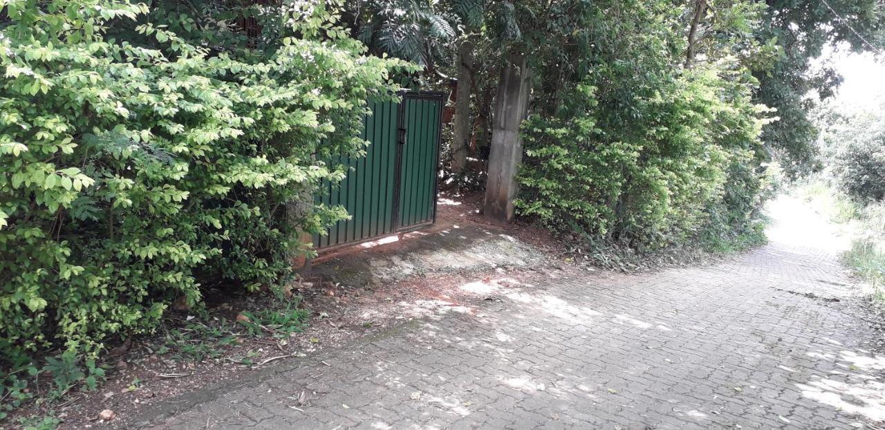 Kon Tree Shade Apartment Dambulla Bagian luar foto