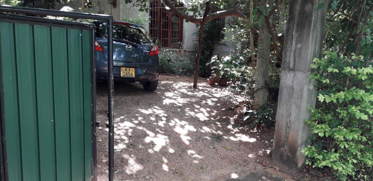 Kon Tree Shade Apartment Dambulla Bagian luar foto