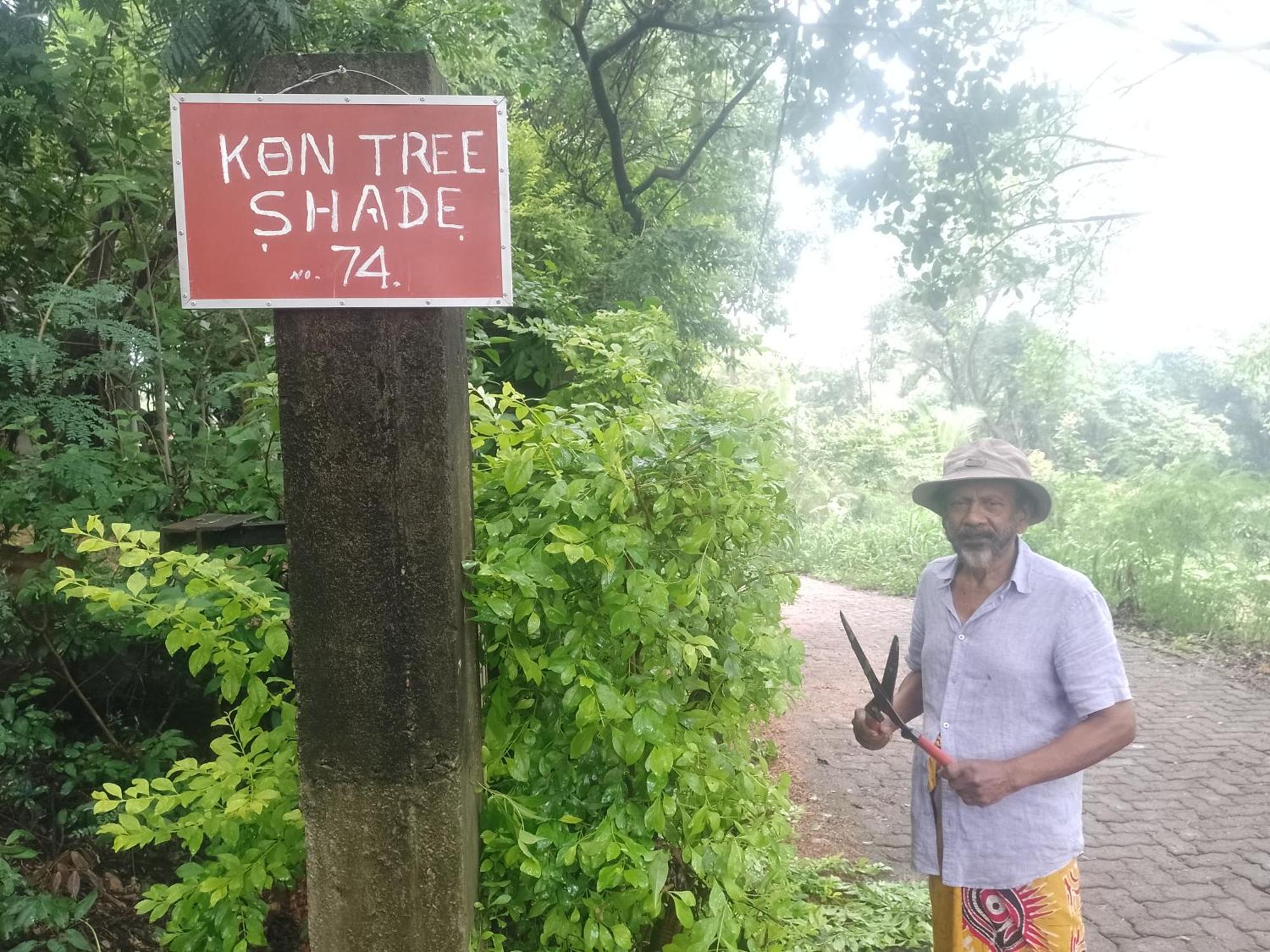 Kon Tree Shade Apartment Dambulla Bagian luar foto